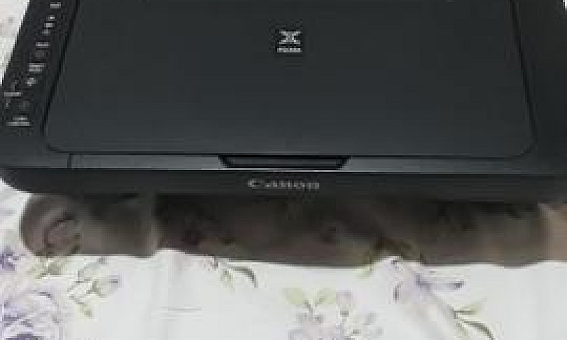 Impressora Canon Via...