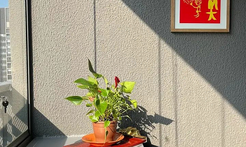 Apartamento Para Ven...