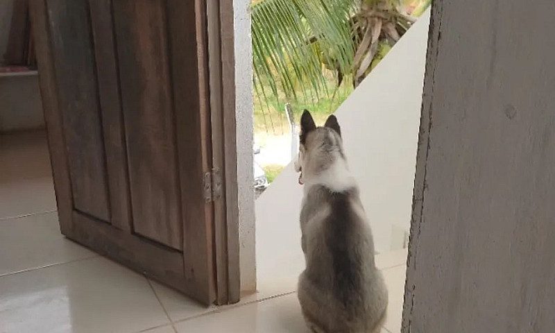 Alugo Casa Em Ensead...