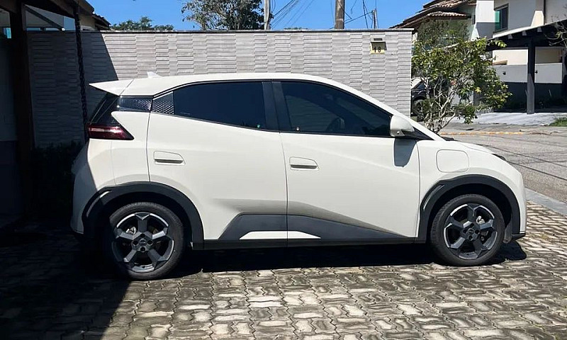 Byd Dolphin Mini (El...