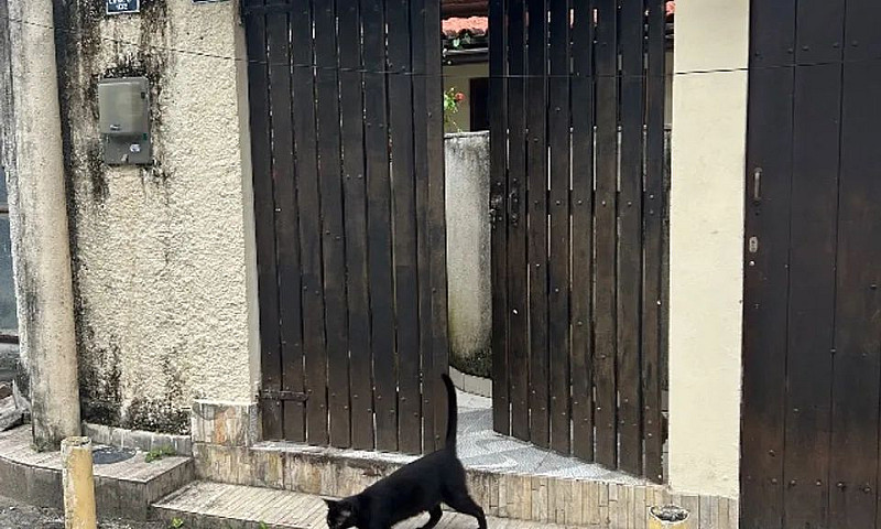 Casa Para Locação Na...