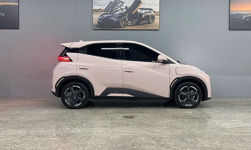 Byd Dolphin Mini (El...