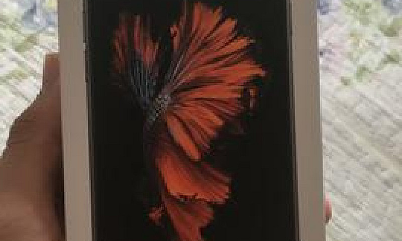 Iphone 6S 32Gb Novo...