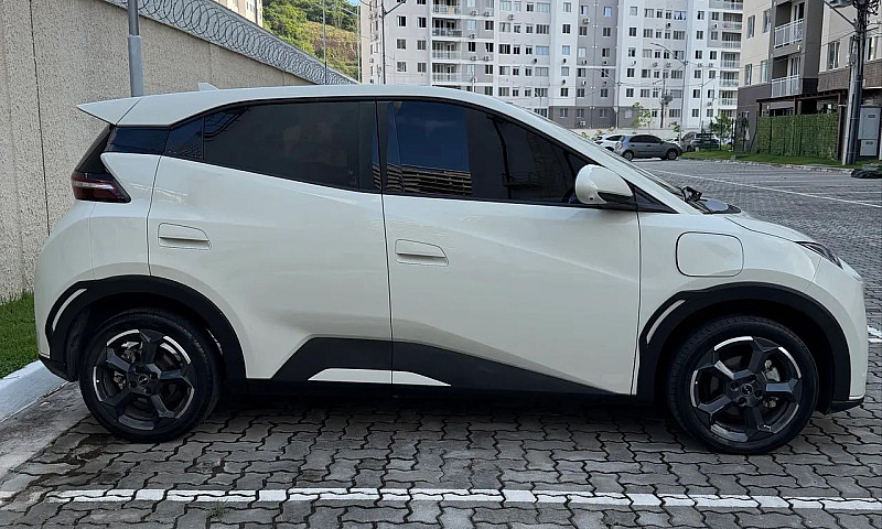 Byd Dolphin Mini (El...