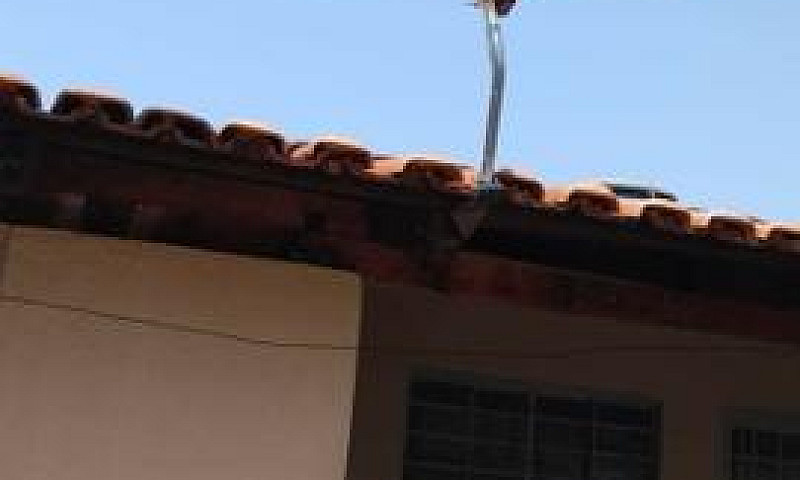 Lote Com Duas Casas...