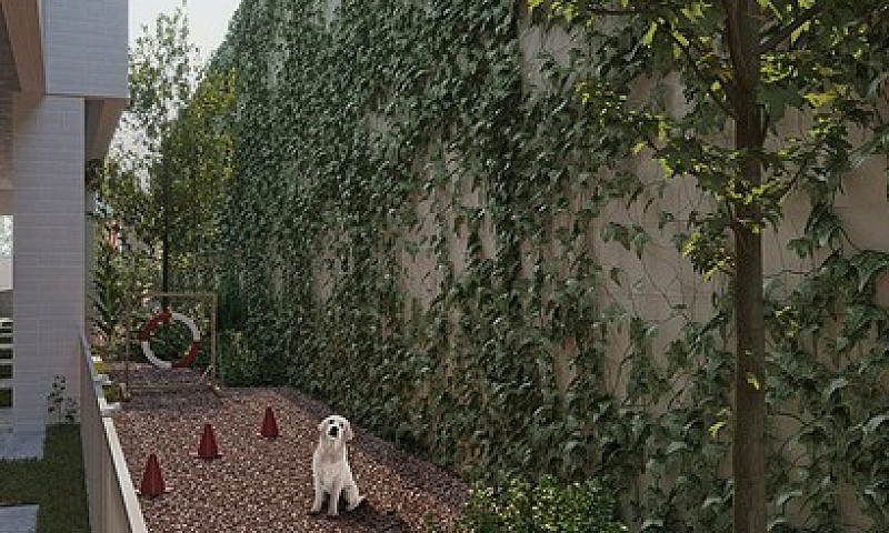 Pronto Para Morar No...