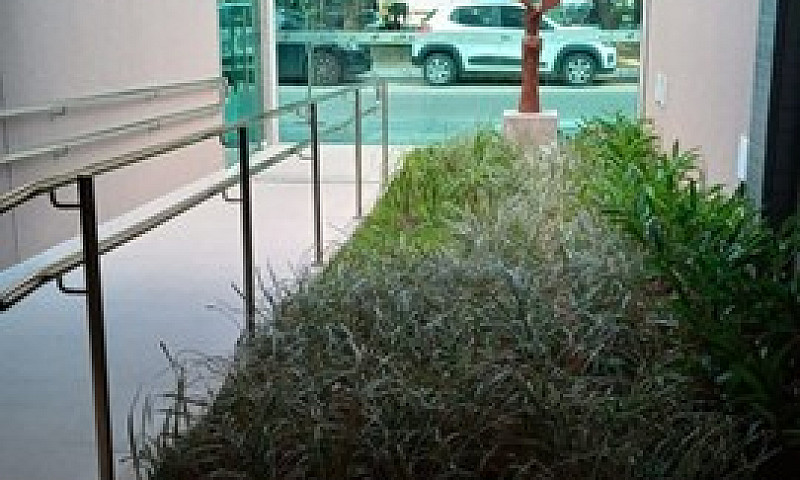 (Mc) Edf. Saint Alic...