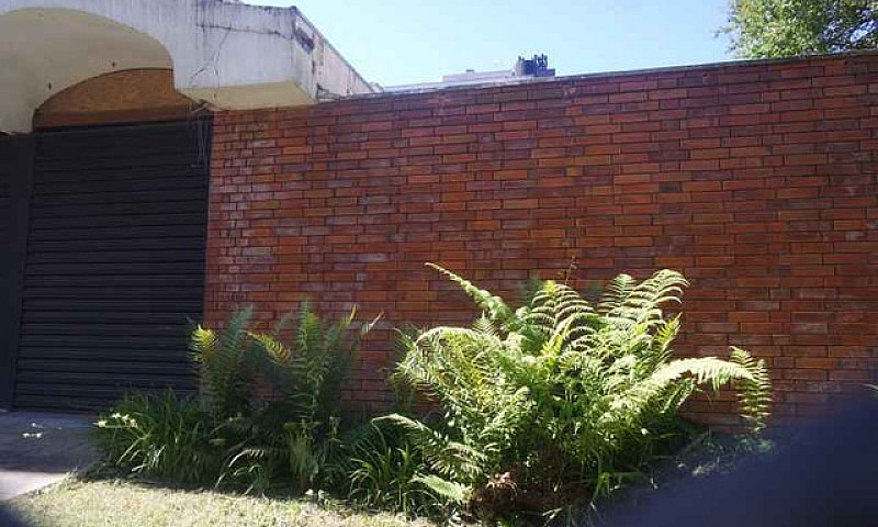 Porto Alegre - Casa ...