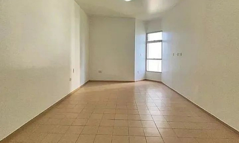 Grande Oportunidade ...