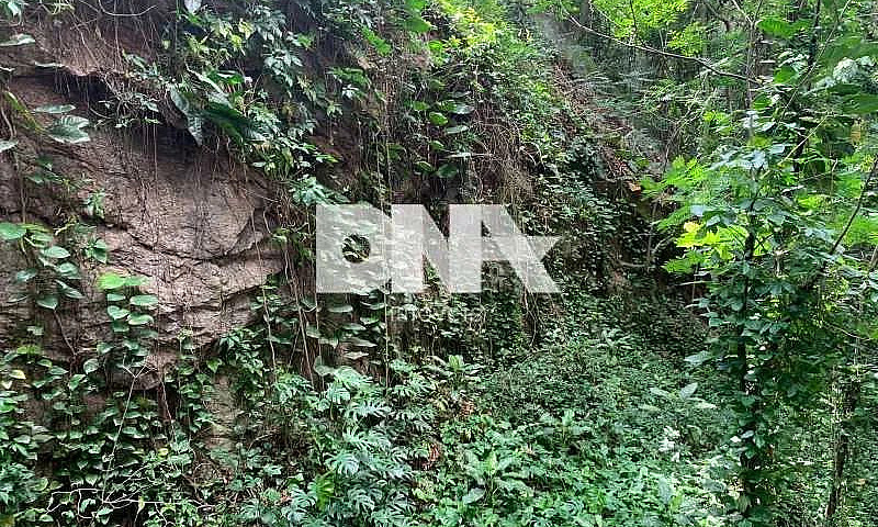 Apartamento - / Resi...