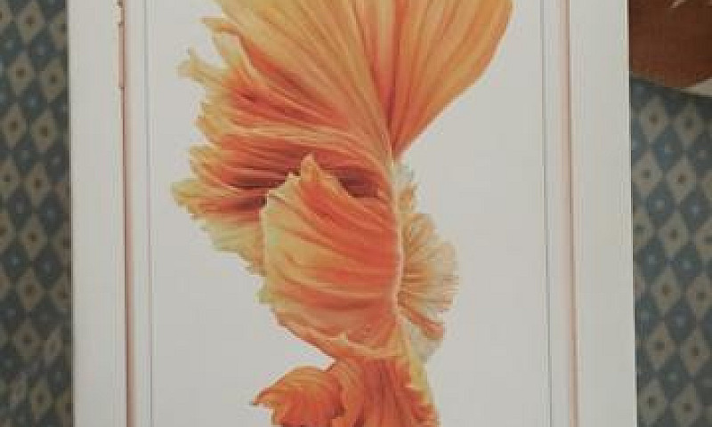Iphone 6S...