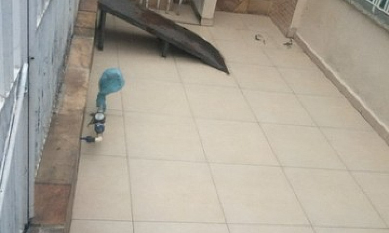 Casa Térrea De 1 Dor...