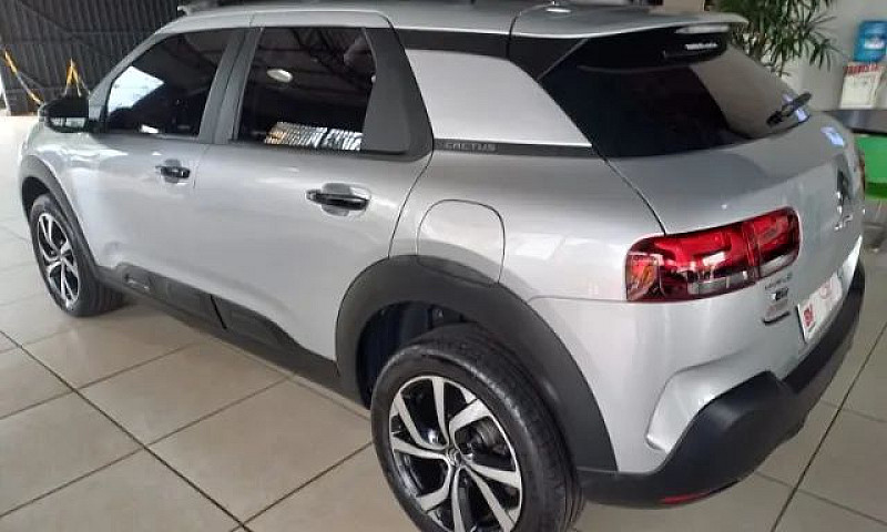 C4 Cactus Shine ...
