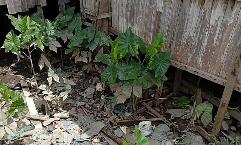 Casa Na Soledade Em ...