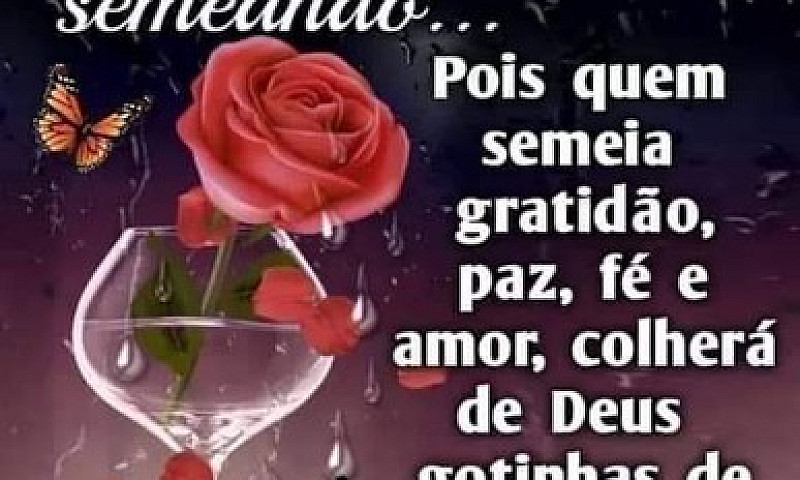 . Th Casa No Bairro ...