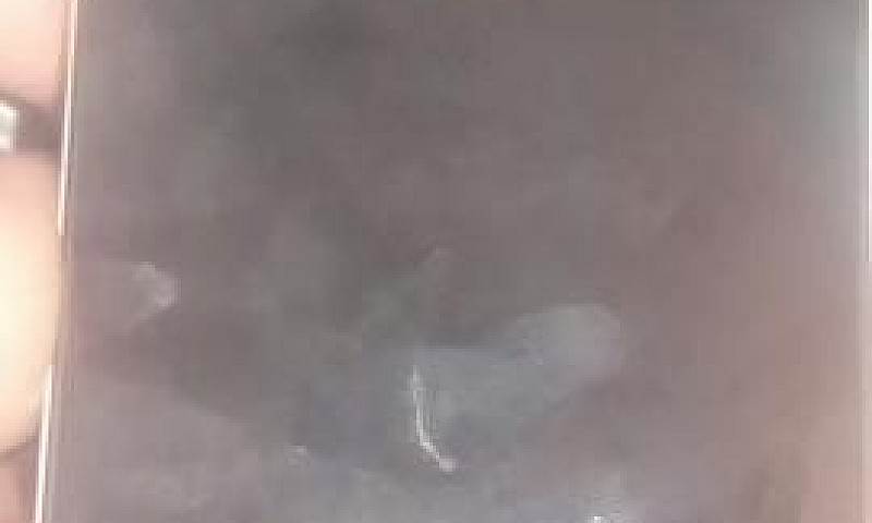 Iphone 4S 8 Gigas...