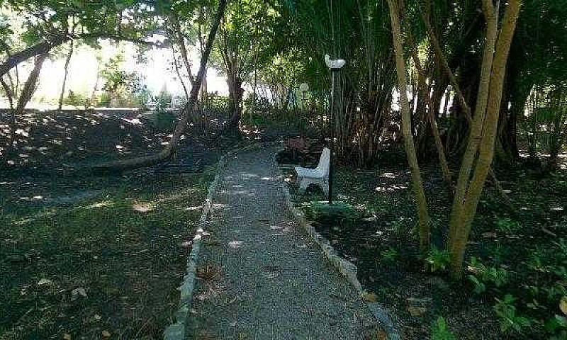 Apartamento Para Alu...