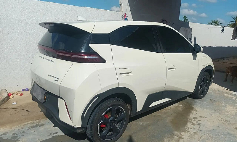 Byd Dolphin Mini (El...