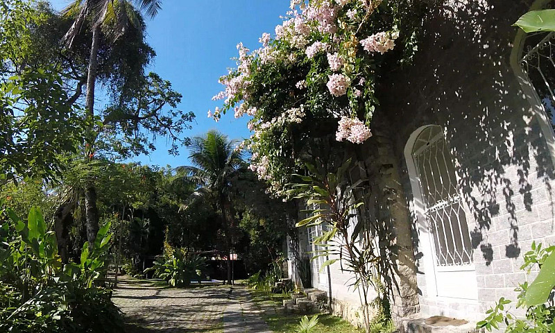 Rio Natureza Apart 1...