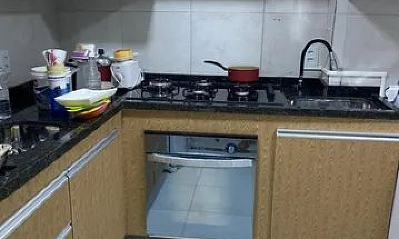 Roseira Pe22- Vendo ...