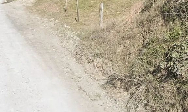 Vende-Se Casa Palmei...