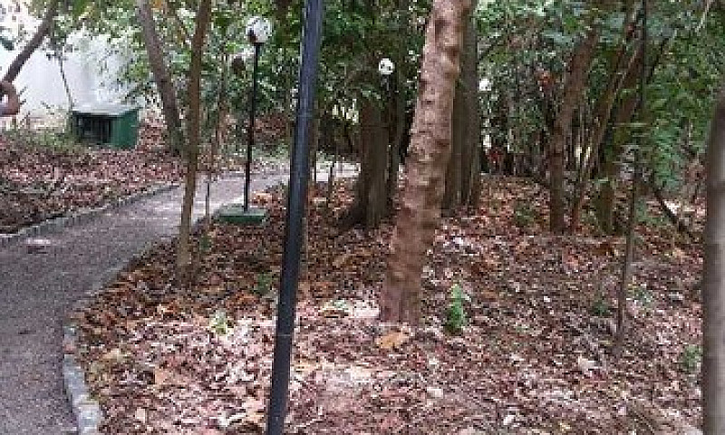 Apartamento Para Alu...