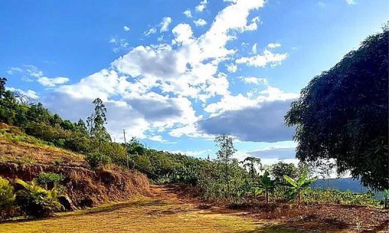 Sítio Com Casa Em Do...