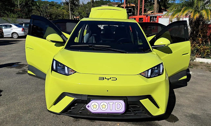 Byd Dolphin Mini (El...