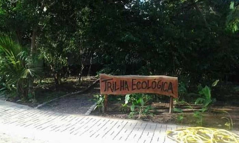 Apartamento Para Alu...