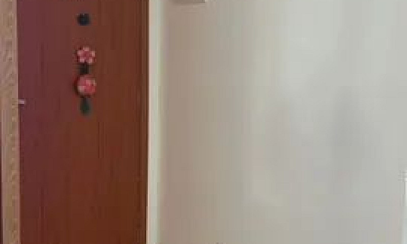 Roseira Pe22- Vendo ...