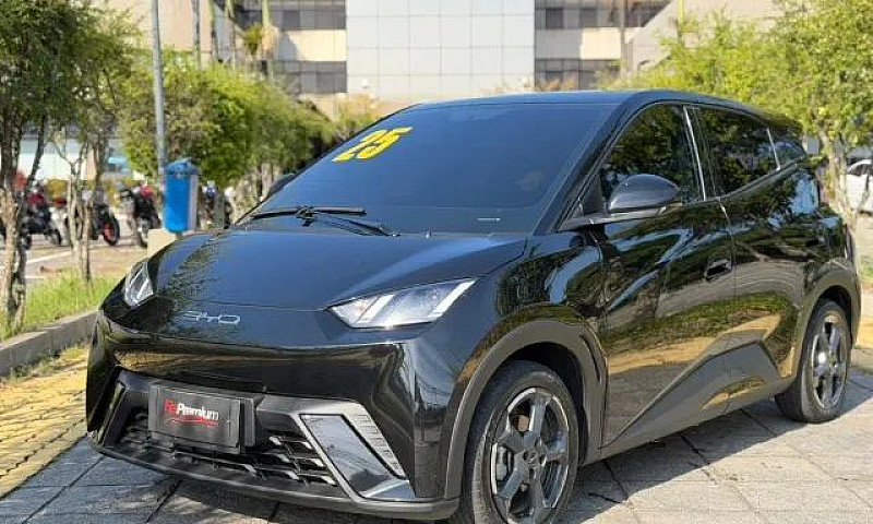 Byd Dolphin Mini (El...