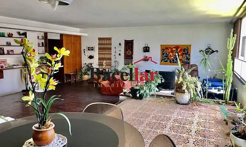 Apartamento - Padrão...