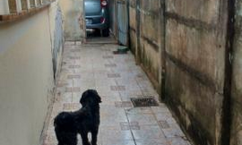Vendo Casa...