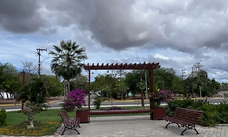 Casas Aluguel Jardin...