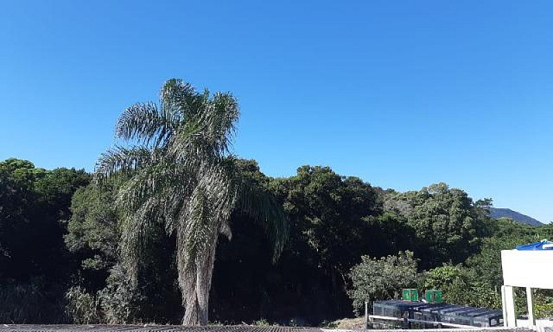 Tm# Lindo Apartament...