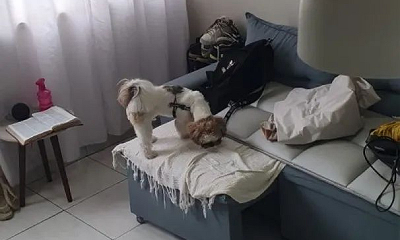 Apartamento 2 Quarto...