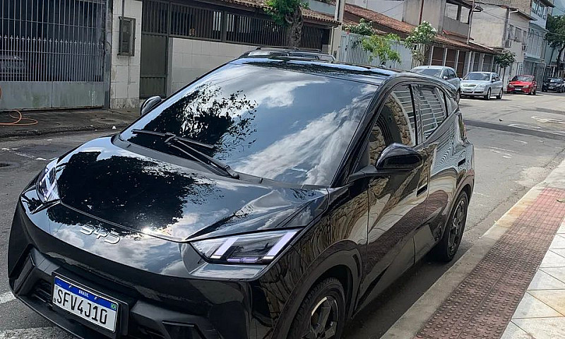 Byd Dolphin Mini (El...