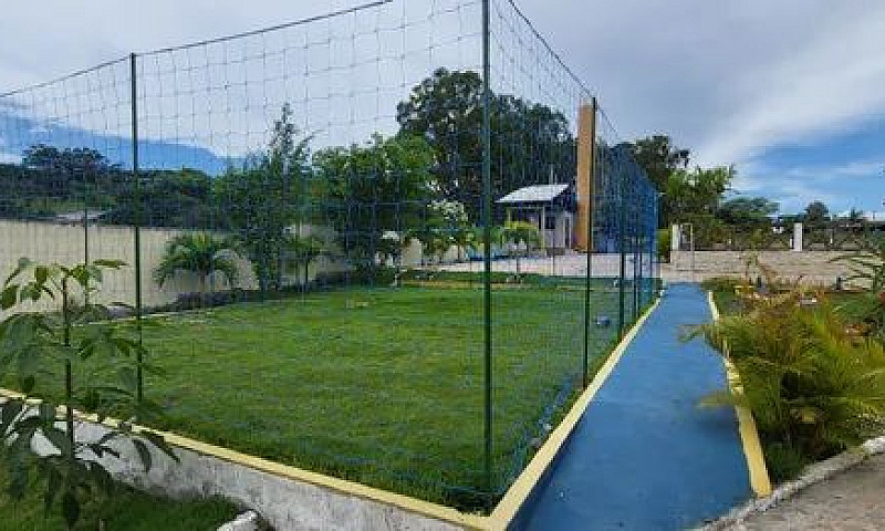 Gravata ,Prive Gênes...