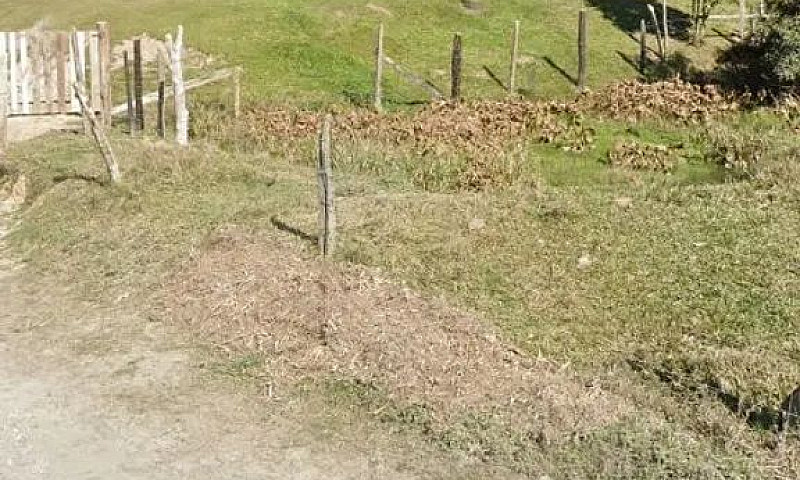 Vende-Se Casa Palmei...