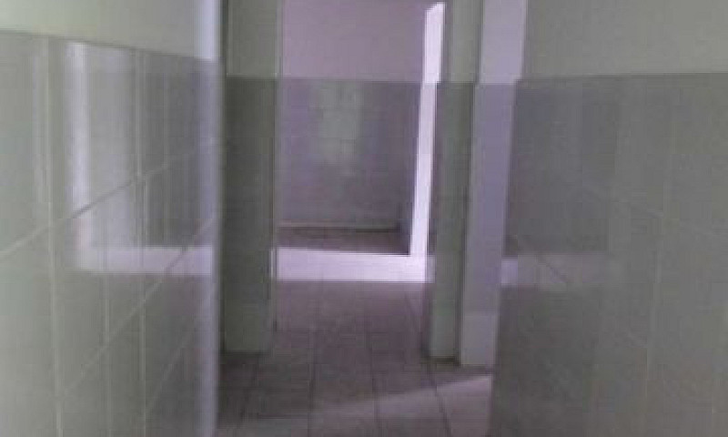 Porto Aluga Casa Com...
