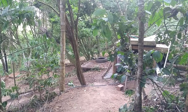 Casa Com 1 Dorm E 60...
