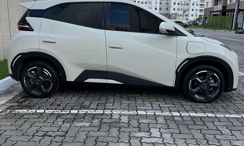 Byd Dolphin Mini (El...
