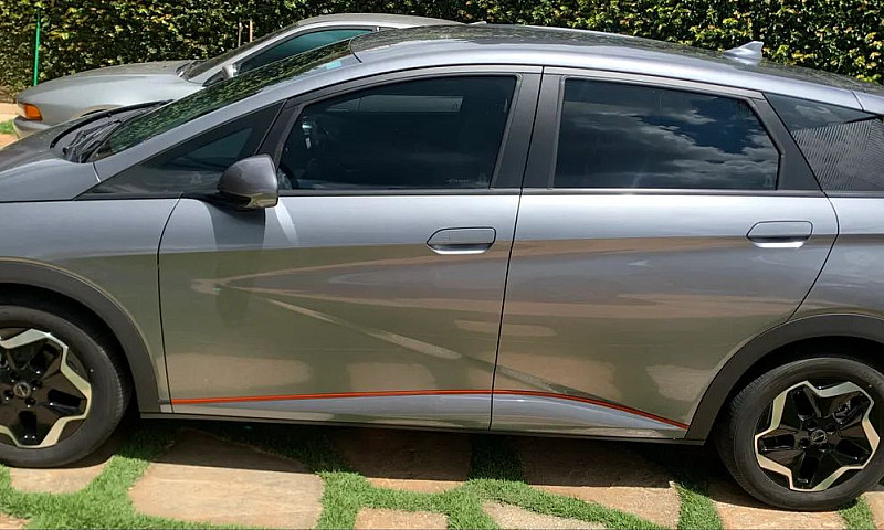 Byd Dolphin Ev (Elét...