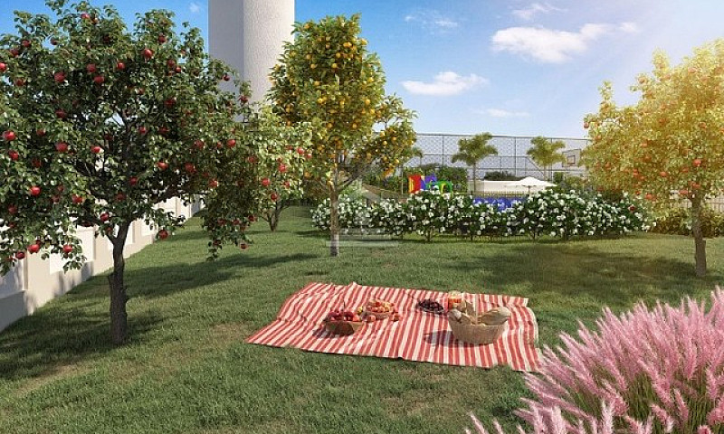 Lançamento Ilha De A...