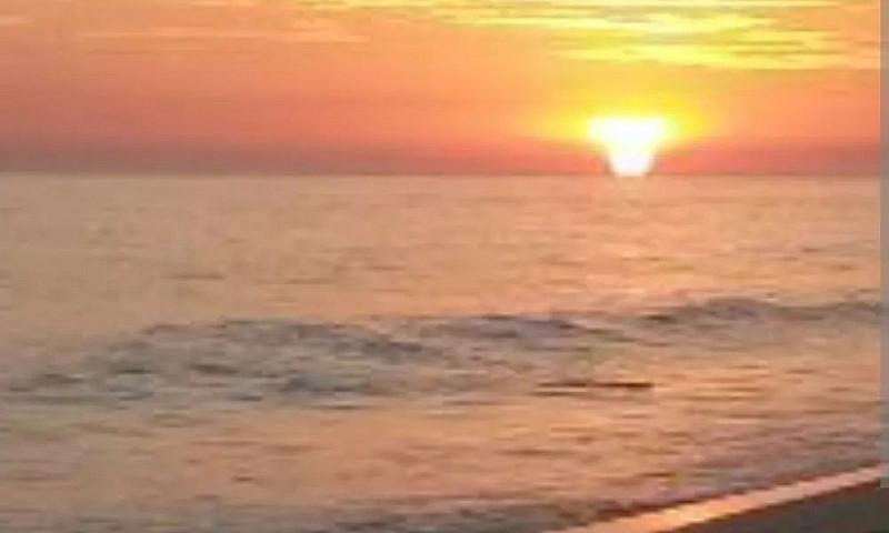 Aluga-Se Diárias De ...