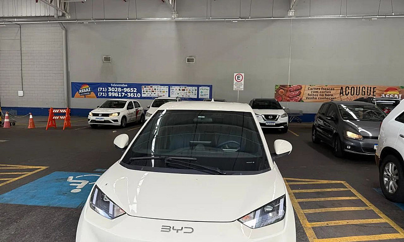 Byd Dolphin Mini (El...