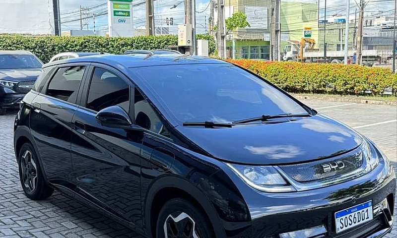 Byd Dolphin Ev (Elét...