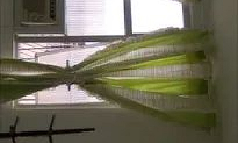 Apartamento Para Car...