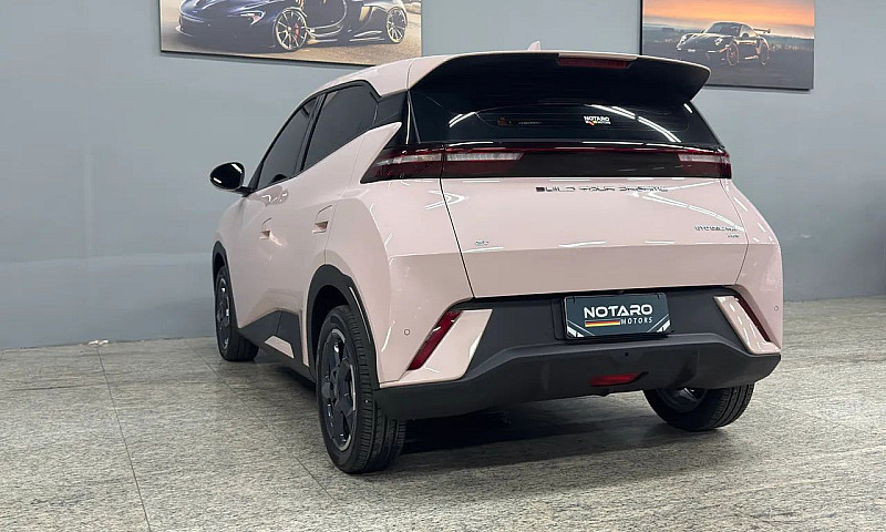 Byd Dolphin Mini (El...