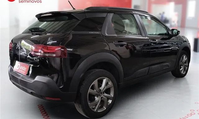 C4 Cactus Feel At 1....